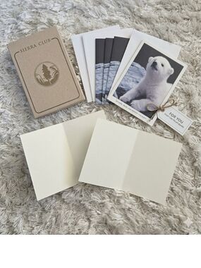 five Sierra Club blank note cards and matching white envelopes Polar Bear Cute